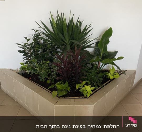ערוגת צמחים בפינת חדר עם אריחים